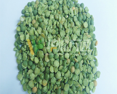 <a href=http://www.171km.com/product/8/ target=_blank class=infotextkey>豌豆脫皮機</a>